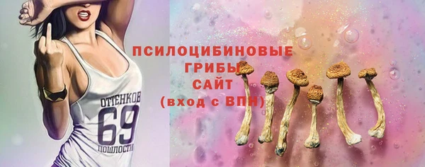не бодяженный Магас