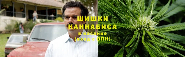 крисы Магадан