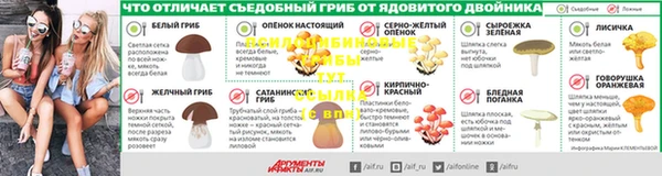 не бодяженный Магас