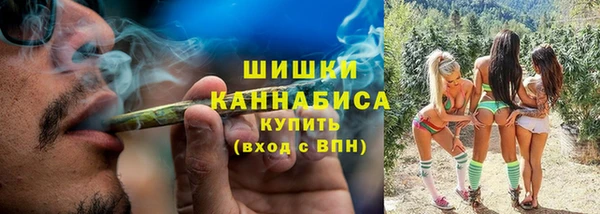 крисы Магадан
