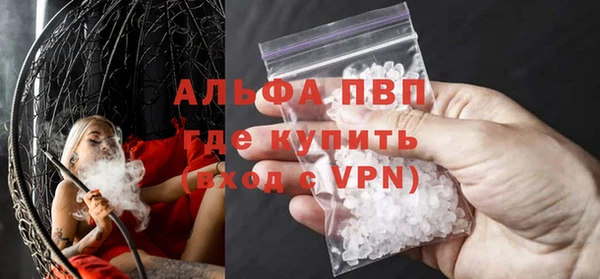 крисы Магадан