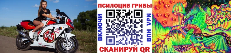 mega сайт  Тихвин  Галлюциногенные грибы Cubensis 