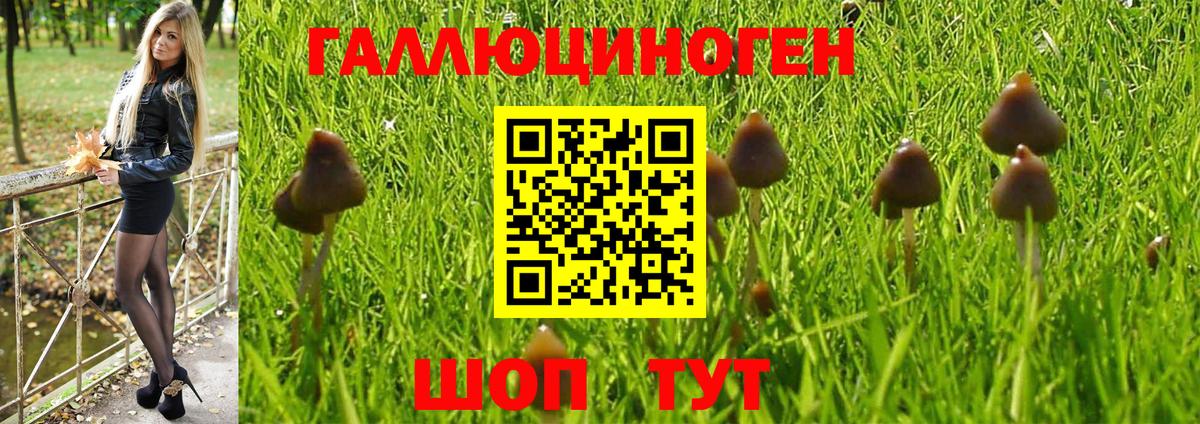 Псилоцибиновые грибы Psilocybine cubensis  Вход с VPN  Псилоцибиновые грибы GOLDEN TEACHER  Тихвин 
